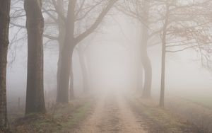 Preview wallpaper road, fog, trees, branches, nature