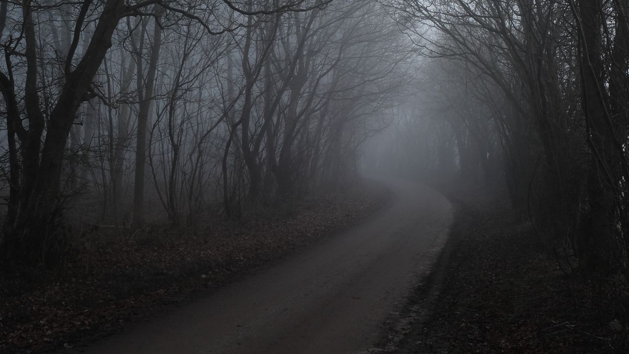 Wallpaper road, fog, trees, forest, nature hd, picture, image