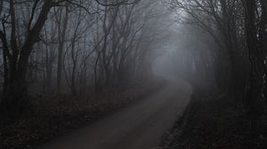 Preview wallpaper road, fog, trees, forest, nature