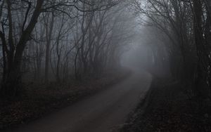 Preview wallpaper road, fog, trees, forest, nature
