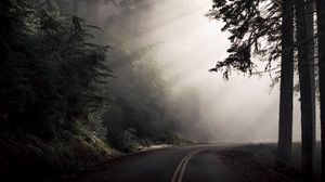 Preview wallpaper road, fog, turn, trees, dark