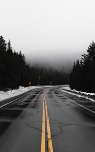 Preview wallpaper road, fog, turn, snow, overcast