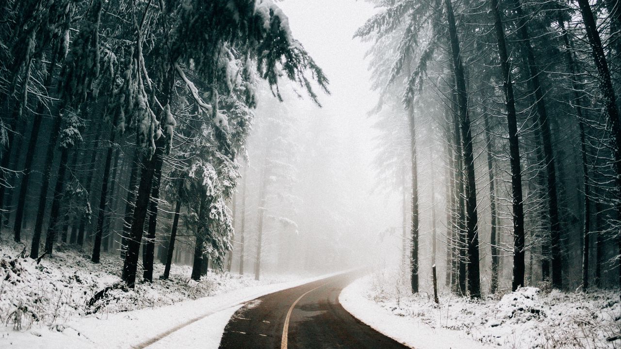 Wallpaper road, fog, winter, trees, turn, asphalt