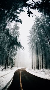 Preview wallpaper road, fog, winter, trees, turn, asphalt