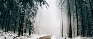 Preview wallpaper road, fog, winter, trees, turn, asphalt