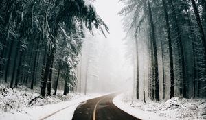 Preview wallpaper road, fog, winter, trees, turn, asphalt