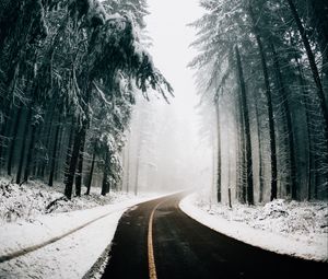 Preview wallpaper road, fog, winter, trees, turn, asphalt