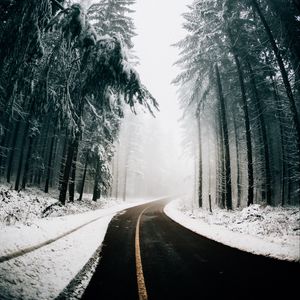 Preview wallpaper road, fog, winter, trees, turn, asphalt