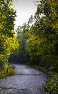 Preview wallpaper road, foliage, trees, autumn