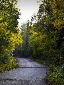 Preview wallpaper road, foliage, trees, autumn