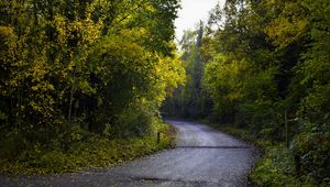 Preview wallpaper road, foliage, trees, autumn