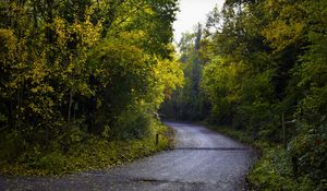 Preview wallpaper road, foliage, trees, autumn