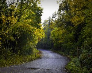 Preview wallpaper road, foliage, trees, autumn