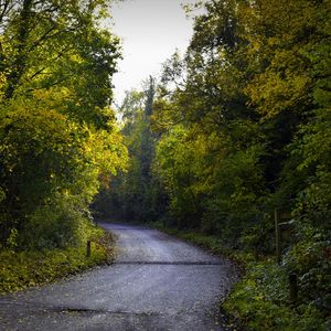 Preview wallpaper road, foliage, trees, autumn