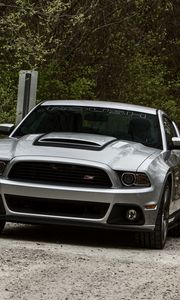 Preview wallpaper road, ford, mustang, nature
