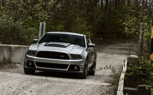 Preview wallpaper road, ford, mustang, nature