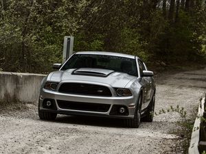 Preview wallpaper road, ford, mustang, nature