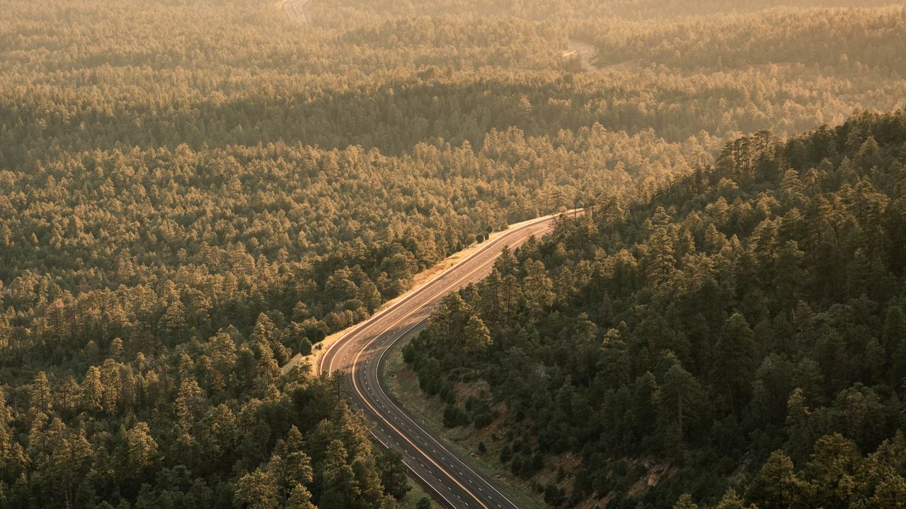Wallpaper road, forest, aerial  view, markup