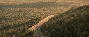 Preview wallpaper road, forest, aerial  view, markup