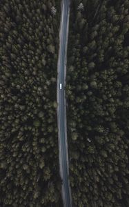 Preview wallpaper road, forest, aerial view, trees, tops