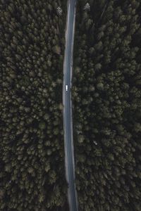 Preview wallpaper road, forest, aerial view, trees, tops