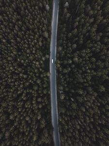 Preview wallpaper road, forest, aerial view, trees, tops