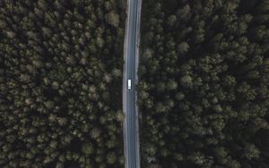 Preview wallpaper road, forest, aerial view, trees, tops