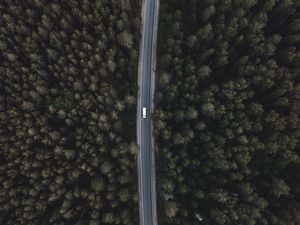 Preview wallpaper road, forest, aerial view, trees, tops