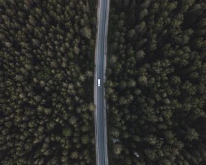 Preview wallpaper road, forest, aerial view, trees, tops