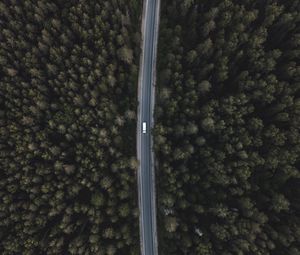 Preview wallpaper road, forest, aerial view, trees, tops