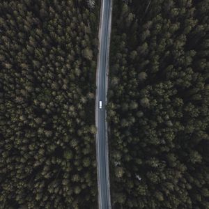 Preview wallpaper road, forest, aerial view, trees, tops