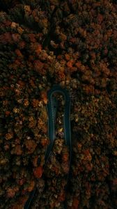 Preview wallpaper road, forest, aerial view, turn, trees, tops
