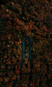 Preview wallpaper road, forest, aerial view, turn, trees, tops