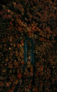 Preview wallpaper road, forest, aerial view, turn, trees, tops