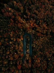 Preview wallpaper road, forest, aerial view, turn, trees, tops