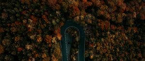 Preview wallpaper road, forest, aerial view, turn, trees, tops