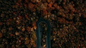 Preview wallpaper road, forest, aerial view, turn, trees, tops