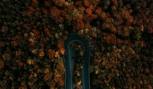 Preview wallpaper road, forest, aerial view, turn, trees, tops