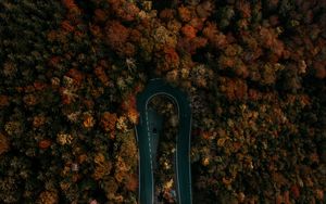 Preview wallpaper road, forest, aerial view, turn, trees, tops