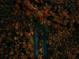 Preview wallpaper road, forest, aerial view, turn, trees, tops