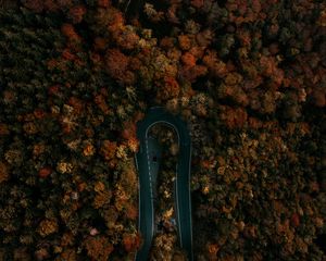 Preview wallpaper road, forest, aerial view, turn, trees, tops