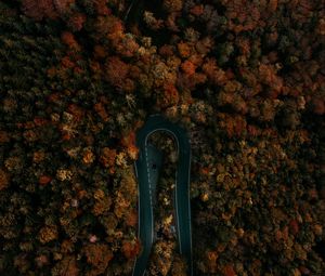 Preview wallpaper road, forest, aerial view, turn, trees, tops