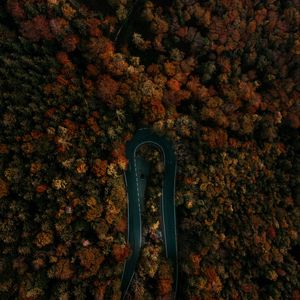 Preview wallpaper road, forest, aerial view, turn, trees, tops