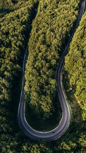 Preview wallpaper road, forest, aerial view, turn, winding