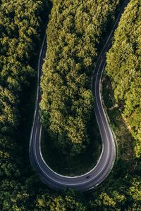 Preview wallpaper road, forest, aerial view, turn, winding