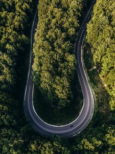 Preview wallpaper road, forest, aerial view, turn, winding