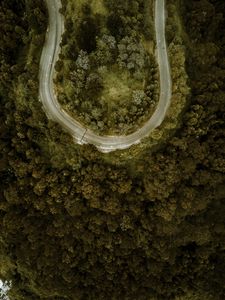 Preview wallpaper road, forest, aerial view, turn, winding