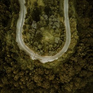 Preview wallpaper road, forest, aerial view, turn, winding