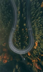 Preview wallpaper road, forest, aerial view, winding, turn