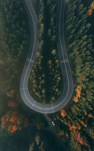 Preview wallpaper road, forest, aerial view, winding, turn